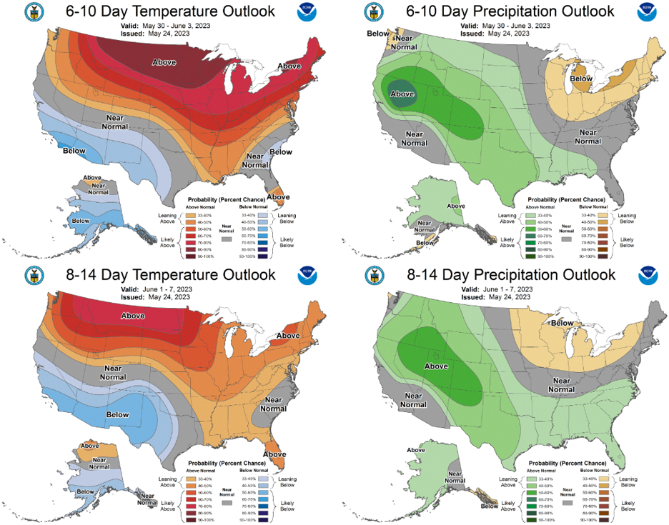 The 6-10 day (May 30-June 3, top) and 8-14 day (June 1-7, bottom) outlooks for temperature (left) and precipitation (right).